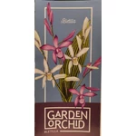 Kép 3/4 - Kerti orchidea, Bletilla