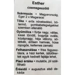 Kép 3/3 - Szőlő 60-80 cm Eszter