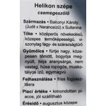 Kép 3/3 - Szőlő 60-80 cm Helikon szépe