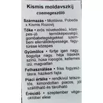 Kép 3/3 - Szőlő 60-80 cm kismis moldavszki