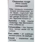 Kép 3/3 - Szőlő 60-80 cm piros chasselas (saszla)