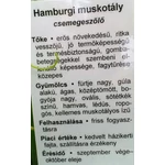 Kép 3/3 - Szőlő 60-80 cm Hamburgi muskotály