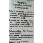 Kép 3/3 - Szőlő 60-80 cm Palatína