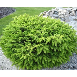 Fészek Luc 2 lit. kont. Fészek Luc 2 lit. kont.