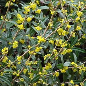 Júlia Borbolya 2 lit. kont. Júlia Borbolya 2 lit. kont.