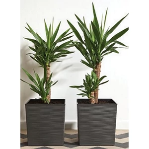 JUKA 40x40x40 cm dluto JUKA 40x40x40 cm dluto