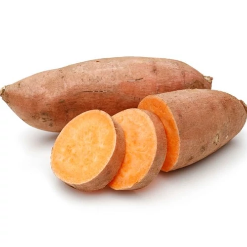 Édesburgonya,  palánta, 'Beauregard'