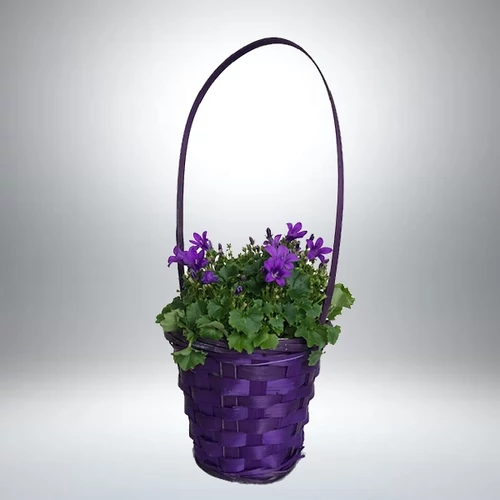 Harangvirág fonott kosárban