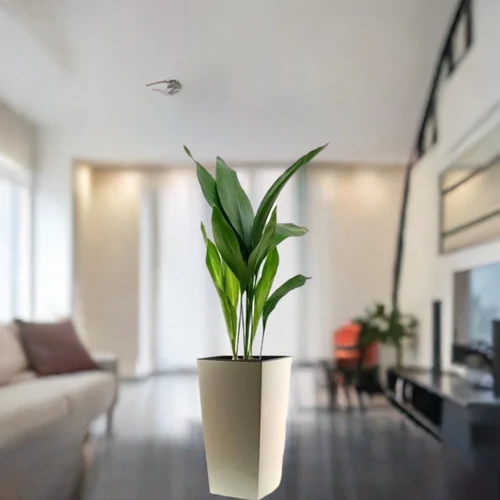 Kukoricalevél + kaspó 80 cm