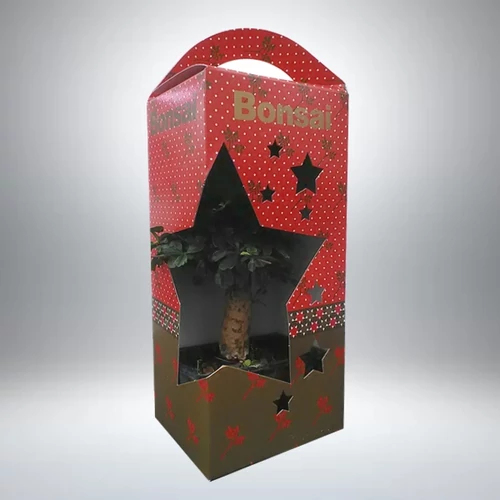 Bonsai díszdobozban